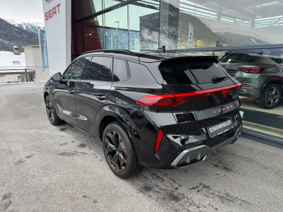 Cupra Terramar Gebrauchtwagen