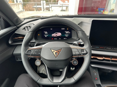 Cupra Terramar Gebrauchtwagen