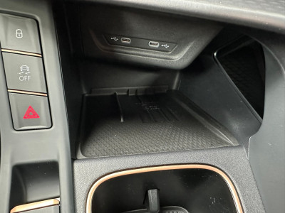 Cupra Terramar Gebrauchtwagen