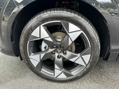 Cupra Terramar Gebrauchtwagen