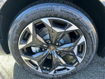 Cupra Terramar Gebrauchtwagen