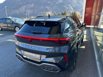 Cupra Terramar Gebrauchtwagen