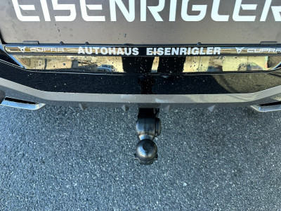 Cupra Terramar Gebrauchtwagen