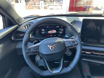 Cupra Terramar Gebrauchtwagen