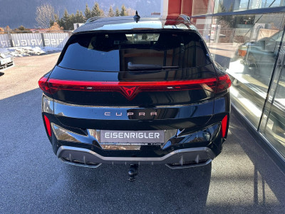 Cupra Terramar Gebrauchtwagen