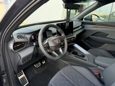 Cupra Terramar Gebrauchtwagen Cupra Terramar Gebrauchtwagen