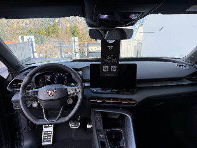 Cupra Terramar Gebrauchtwagen