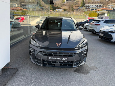 Cupra Terramar Gebrauchtwagen