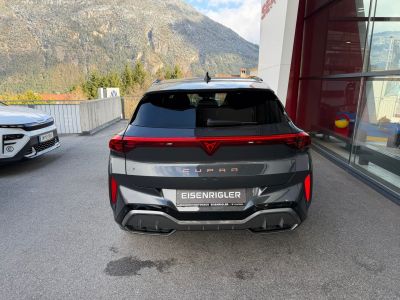 Cupra Terramar Gebrauchtwagen Cupra Terramar Gebrauchtwagen