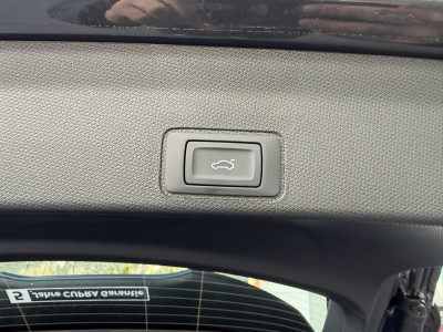 Cupra Terramar Gebrauchtwagen