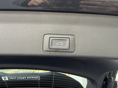 Cupra Terramar Gebrauchtwagen Cupra Terramar Gebrauchtwagen
