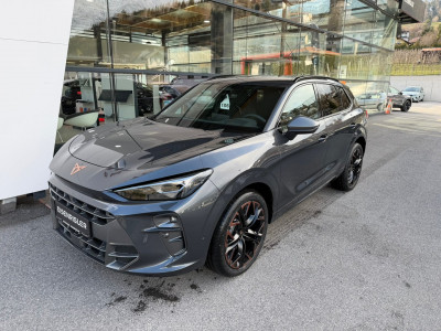 Cupra Terramar Gebrauchtwagen