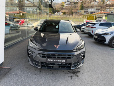 Cupra Terramar Gebrauchtwagen