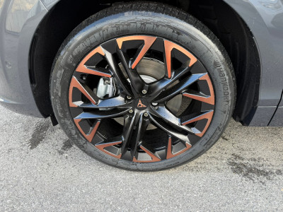 Cupra Terramar Gebrauchtwagen