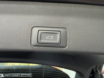 Cupra Terramar Gebrauchtwagen