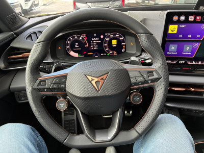 Cupra Terramar Gebrauchtwagen