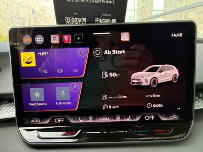 Cupra Terramar Gebrauchtwagen