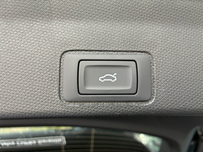 Cupra Terramar Gebrauchtwagen