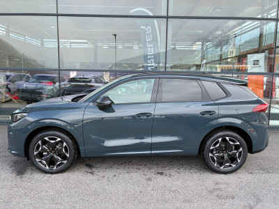 Cupra Terramar Gebrauchtwagen