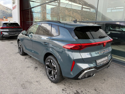 Cupra Terramar Gebrauchtwagen