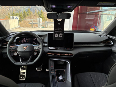 Cupra Terramar Gebrauchtwagen