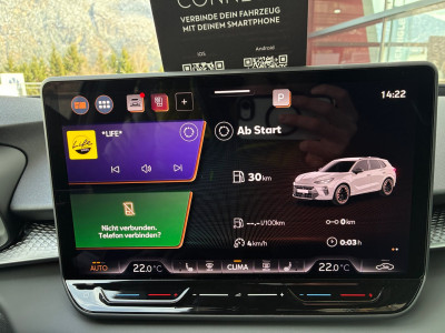 Cupra Terramar Gebrauchtwagen