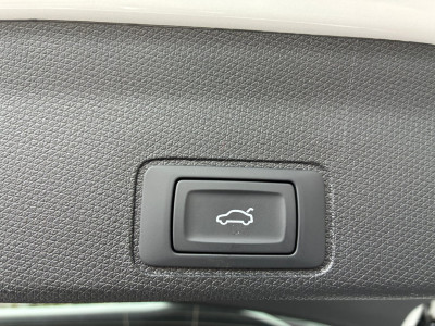 Cupra Terramar Gebrauchtwagen Cupra Terramar Gebrauchtwagen