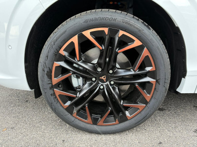 Cupra Terramar Gebrauchtwagen Cupra Terramar Gebrauchtwagen