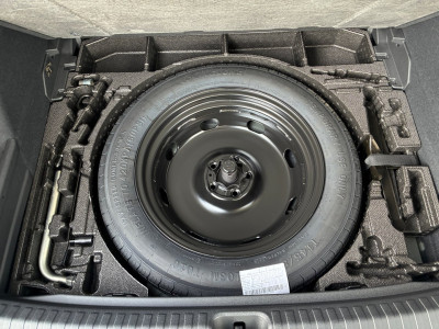 Cupra Terramar Gebrauchtwagen