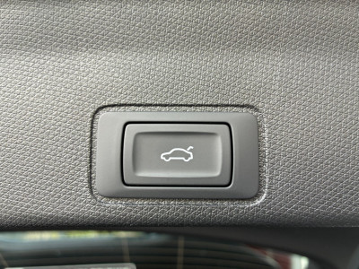 Cupra Terramar Gebrauchtwagen