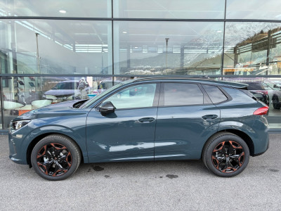 Cupra Terramar Gebrauchtwagen