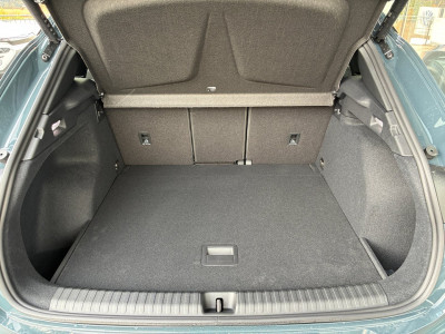 Cupra Terramar Gebrauchtwagen