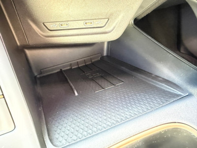 Cupra Terramar Gebrauchtwagen