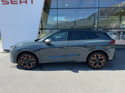 Cupra Terramar Gebrauchtwagen