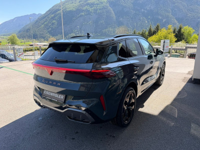 Cupra Terramar Gebrauchtwagen
