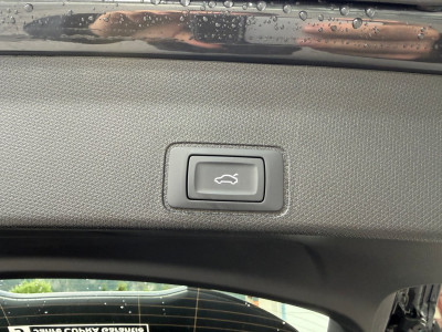 Cupra Terramar Gebrauchtwagen Cupra Terramar Gebrauchtwagen