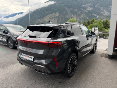 Cupra Terramar Gebrauchtwagen Cupra Terramar Gebrauchtwagen