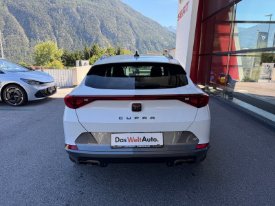 Cupra Formentor Gebrauchtwagen Cupra Formentor Gebrauchtwagen