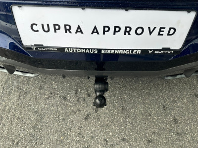 Cupra Terramar Gebrauchtwagen Cupra Terramar Gebrauchtwagen