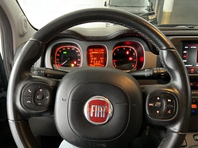 Fiat Panda Gebrauchtwagen Fiat Panda Gebrauchtwagen