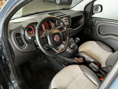 Fiat Panda Gebrauchtwagen Fiat Panda Gebrauchtwagen