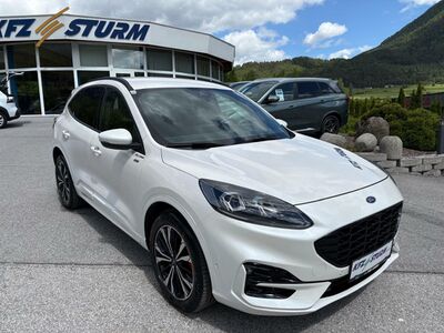 Ford Kuga Gebrauchtwagen Ford Kuga Gebrauchtwagen