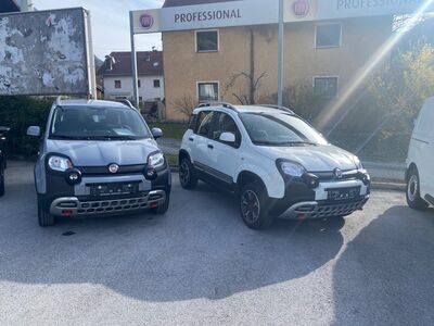 Fiat Panda Gebrauchtwagen