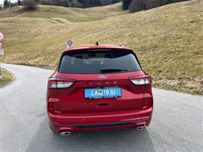 Ford Kuga Gebrauchtwagen Ford Kuga Gebrauchtwagen