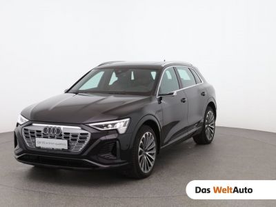 Audi Q8 e-tron Gebrauchtwagen