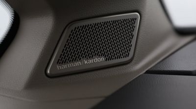 VW Multivan Gebrauchtwagen