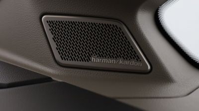 VW Multivan Gebrauchtwagen VW Multivan Gebrauchtwagen