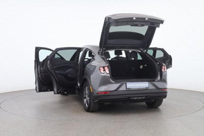 Ford Mustang Gebrauchtwagen Ford Mustang Gebrauchtwagen