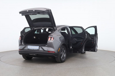 Ford Mustang Gebrauchtwagen Ford Mustang Gebrauchtwagen