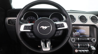 Ford Mustang Gebrauchtwagen Ford Mustang Gebrauchtwagen